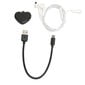 Heart Shape Pendant Recorder 4GB Mp3 Älykäs HD Melunvaimennus Ääni Aktivoitu Mini Äänitallennin hinta ja tiedot | MP3-soittimet, MP4-soittimet | hobbyhall.fi