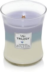 WoodWick Tuoksukynttilä Trilogy Calming Retreat, 275 g hinta ja tiedot | Kynttilät ja kynttilänjalat | hobbyhall.fi