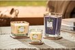 Tuoksukynttilä Yankee Candle Tonka Bean & Pumpkin 96g hinta ja tiedot | Kynttilät ja kynttilänjalat | hobbyhall.fi