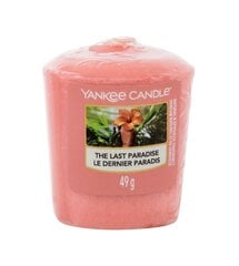Tuoksukynttilä Yankee Candle the Last Paradise 49 g. hinta ja tiedot | Kynttilät ja kynttilänjalat | hobbyhall.fi