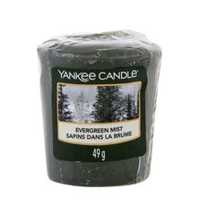 Tuoksukynttilä Yankee Candle Evergreen Mist 49 g. hinta ja tiedot | Kynttilät ja kynttilänjalat | hobbyhall.fi