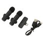 Langaton Lavalier Microphone 1 for 2 Lavalier Lapel Mic tukee tallennusta ladattaessa suoratoistohaastattelua varten hinta ja tiedot | Stereojärjestelmät | hobbyhall.fi