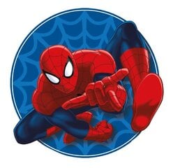 Spiderman -koristetyyny 32 x 29 x 5 cm hinta ja tiedot | Koristetyynyt ja tyynynpäälliset | hobbyhall.fi