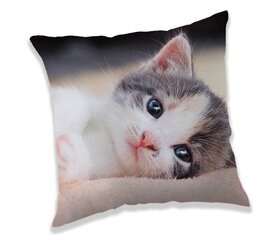 Kitten -koristetyyny, 40 x 40 cm hinta ja tiedot | Koristetyynyt ja tyynynpäälliset | hobbyhall.fi