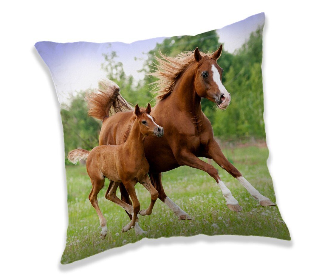 Horse Brown -koristetyyny, 40 x 40 cm hinta ja tiedot | Koristetyynyt ja tyynynpäälliset | hobbyhall.fi