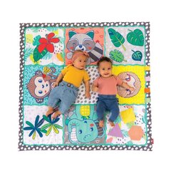 INFANTINO Suuri leikkimatto, 120 x 120 cm hinta ja tiedot | Infantino Lapset | hobbyhall.fi