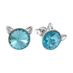 Lasten hopeiset korvakorut „Kissa (Light Turquoise)“ Swarovskin kristalleilla DS03A206 hinta ja tiedot | Korvakorut | hobbyhall.fi