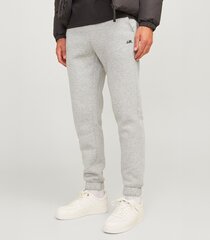 Miesten Jack & Jones verkkarit 12263903*01, vaalean harmaa/lig 5715609891274 hinta ja tiedot | Miesten shortsit | hobbyhall.fi