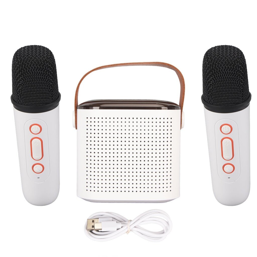 Mini Karaoke Machine Stereo Kannettava RGB Light Bluetooth kaiutin 2 langattomalla mikrofonilla Home Party White hinta ja tiedot | Stereojärjestelmät | hobbyhall.fi