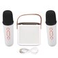 Mini Karaoke Machine Stereo Kannettava RGB Light Bluetooth kaiutin 2 langattomalla mikrofonilla Home Party White hinta ja tiedot | Stereojärjestelmät | hobbyhall.fi