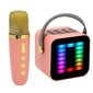 Mini Karaoke Machine Set RGB Pickup Light Digital Processing Chip Handheld Kannettava Bluetooth Kaiutin mikrofonilla Vaaleanpunainen hinta ja tiedot | Stereojärjestelmät | hobbyhall.fi