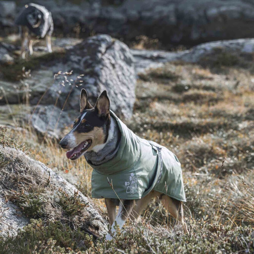 Lämmin takki koirille Hurtta Extreme Warmer, vihreä, eri kokoja hinta ja tiedot | Koiran vaatteet | hobbyhall.fi