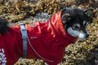 Hurtta Monsoon Coat ECO 20, Punainen hinta ja tiedot | Koiran vaatteet | hobbyhall.fi
