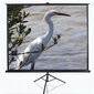 Elite Screens T120NWV1 (243 x 182 cm) hinta ja tiedot | Valkokankaat | hobbyhall.fi