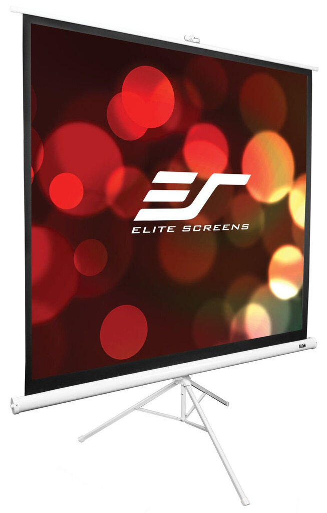 Elite Screens T120NWV1 (243 x 182 cm) hinta ja tiedot | Valkokankaat | hobbyhall.fi