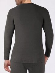 Miesten Solid Thermal Alusvaatteet Tee·Vaaleanharmaa·M hinta ja tiedot | Miesten aluspaidat | hobbyhall.fi