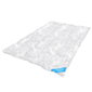 AmeliaHome Floria -peitto 135 x200 cm hinta ja tiedot | Peitot | hobbyhall.fi