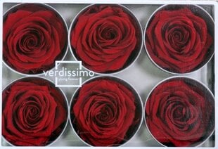 Kestoruusut Premium 6 kpl - Dark Red hinta ja tiedot | Kestoruusut | hobbyhall.fi