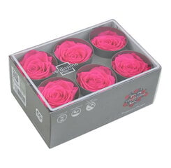 Kestoruusut Premium 6 kpl - Bright Pink hinta ja tiedot | Kestoruusut | hobbyhall.fi