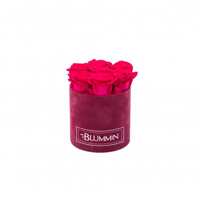 Blummin kestoruusut - Small fuksia sametti Hot pink (7 ruusua) hinta ja tiedot | Kestoruusut | hobbyhall.fi