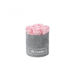 Blummin kestoruusut - Small vaaleanharmaa samettilaatikko Bridal Pink (7 ruusua) hinta ja tiedot | Kestoruusut | hobbyhall.fi