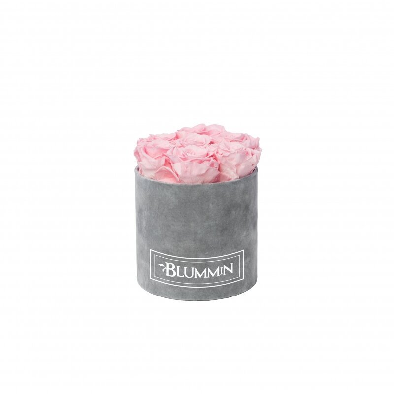 Blummin kestoruusut - Small vaaleanharmaa samettilaatikko Bridal Pink (7 ruusua) hinta ja tiedot | Kestoruusut | hobbyhall.fi