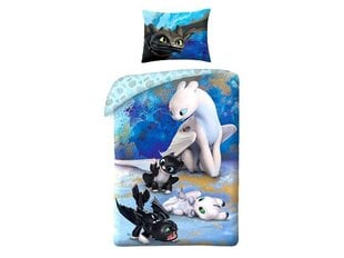 Lasten pussilakanasetti Dragon, 2 kpl, 140 x 200 hinta ja tiedot | Vuodevaatteet lapsille | hobbyhall.fi