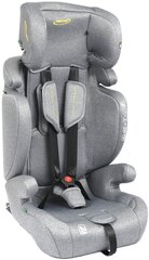 Auton istuin Summer Baby Porto i-Size Isofix, 9-36 kg, Sport Grey hinta ja tiedot | Turvaistuimet | hobbyhall.fi