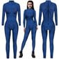 Supersankari Mystique Raven Darkholme Cosplay Seksikäs Jumpsuit puvut Halloween Naisten Fancy Dress-Blue hinta ja tiedot | Naamiaisasut | hobbyhall.fi