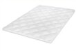 Stanik allergiavastainen peitto 200x220cm hinta ja tiedot | Peitot | hobbyhall.fi