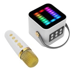 Mini Karaoke Machine Set RGB Pickup Light Digital Processing Chip Handheld Kannettava Bluetooth Kaiutin Mikrofonilla Valkoinen hinta ja tiedot | Stereojärjestelmät | hobbyhall.fi