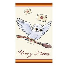 Lasten pyyhe Harry Potter, 30x50 cm hinta ja tiedot | Pyyhkeet | hobbyhall.fi