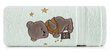 Eurofirany pyyhe Baby62, 100x100 cm hinta ja tiedot | Pyyhkeet | hobbyhall.fi