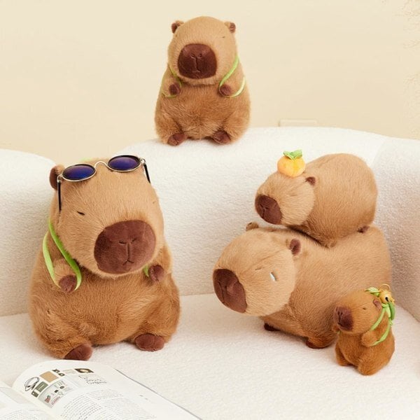 Capybara Pehmo, 25cm Kapybara Kantokilpikonna Realistinen Pehmeä Kapybara Lelu Pehmeä Pehmo, Capybara Täytetty eläin 25cm hinta ja tiedot | Koristeet ja tarrat | hobbyhall.fi