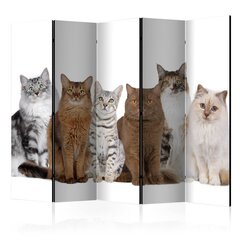 Sermi - Sweet Cats II [Room Dividers] hinta ja tiedot | Sermit ja tilanjakajat | hobbyhall.fi