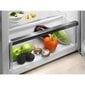 Electrolux LXB1AE13W0 jääkaappi, LXB1AE13W0 hinta ja tiedot | Jääkaapit | hobbyhall.fi