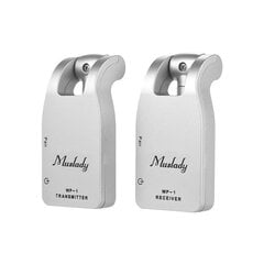 Muslady 2.4G Wireless Guitar System -lähetin ja vastaanotin - Oletusnimi hinta ja tiedot | Naisten laukut | hobbyhall.fi