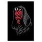 Kuva, Tohtori Monekers, Darth Maul Star Wars hinta ja tiedot | Taulut | hobbyhall.fi