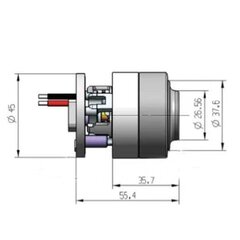 45 mm 80000 rpm BL4560 DC 120 W autopölynimurin harjaton moottori, nopea langaton pölynimuri mikromoottori hinta ja tiedot | Pölynimureiden lisätarvikkeet | hobbyhall.fi