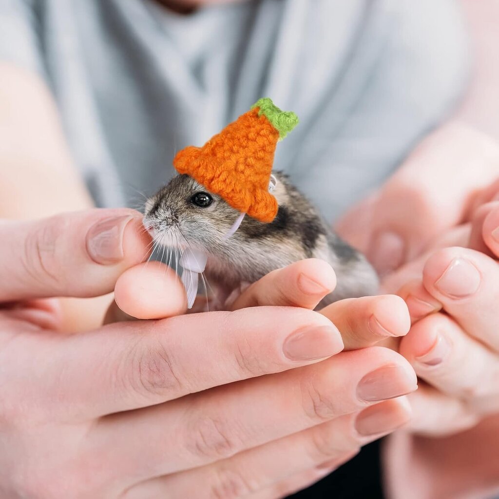 kpl Hamsterihattu Mini Pienet Eläimet Hattu säädettävällä hihnalla Ihana käsin neulottu sammakko Sateenkaari Porkkana Pienet hatut Joululomajuhlat hinta ja tiedot | Naisten päähineet | hobbyhall.fi