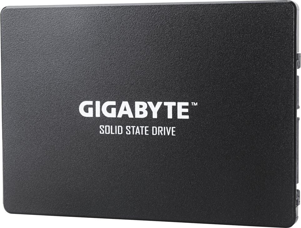 Gigabyte GP-GSTFS31100TNTD hinta ja tiedot | Kovalevyt | hobbyhall.fi