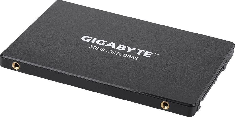 Gigabyte GP-GSTFS31100TNTD hinta ja tiedot | Kovalevyt | hobbyhall.fi