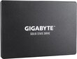 Gigabyte GP-GSTFS31100TNTD hinta ja tiedot | Kovalevyt | hobbyhall.fi