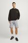 Farkkushortsit Jack &amp; Jones 12249069GREYDENIM-M hinta ja tiedot | Miesten shortsit | hobbyhall.fi