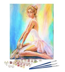 Paint4You Numerot Maalaus, 41x51 cm hinta ja tiedot | Maalaa numeroiden mukaan | hobbyhall.fi