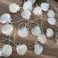 1,5M 10Led Kuten Kuvasta 1,5/3M Joulusisustus Led Seashell Fairy String -Valolamppu hinta ja tiedot | Puutarha- ja ulkovalot | hobbyhall.fi