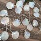 3M 20Led Kuten Kuvasta 1,5/3M Joulusisustus Led Seashell Fairy String Valolamppu hinta ja tiedot | Puutarha- ja ulkovalot | hobbyhall.fi