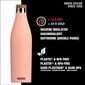 Juoma Sigg Meridian Shy Pink, 500 ml hinta ja tiedot | Juomapullot | hobbyhall.fi