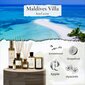 PRISTINE reed diffuusori, Maldives Villa, 6 fl oz hinta ja tiedot | Huonetuoksut | hobbyhall.fi