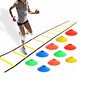 Agility Ladder 12 Rung 20ft Speed Training Tikkaat varusteet 10 Dics Kantolaukkulla Jalkapallourheiluun hinta ja tiedot | Kuntokeskukset | hobbyhall.fi